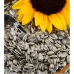 Sunflower Seeds With A Metal Scoop And A Sunflower Blossom, Dm Traders Organic Store.