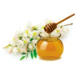 Jar Of Pure Acacia Honey Benefits And Uses With Dipper Next To White Flowers, Dm Traders Organic Store.