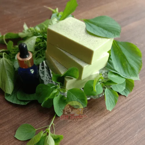 Organic Kuppaimeni Soap Bars And A Blue Glass Dropper Bottle On A Bed Of Fresh Green Leaves With &Quot;Dm Traders Organic Store&Quot; Logo.